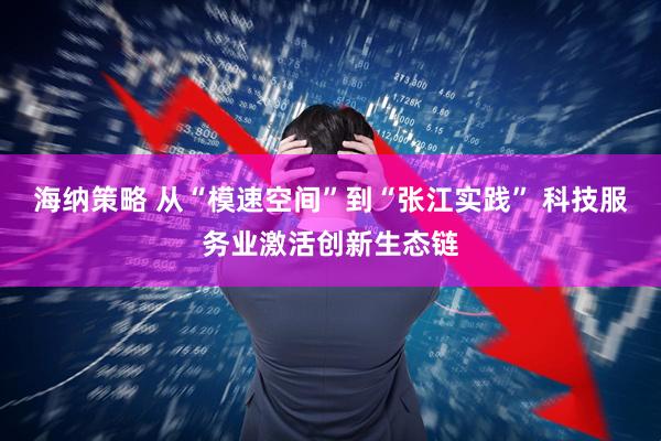 海纳策略 从“模速空间”到“张江实践” 科技服务业激活创新生态链